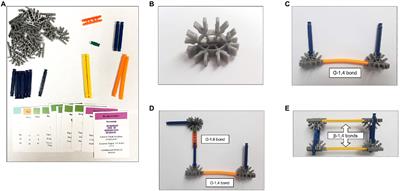 A gut microbiome tactile teaching tool and guided-inquiry activity promotes student learning